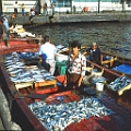 Istanbul, schwimmender Fischmarkt am Bosporus.